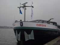 2303 T - CUPIDON -- 04/11/14